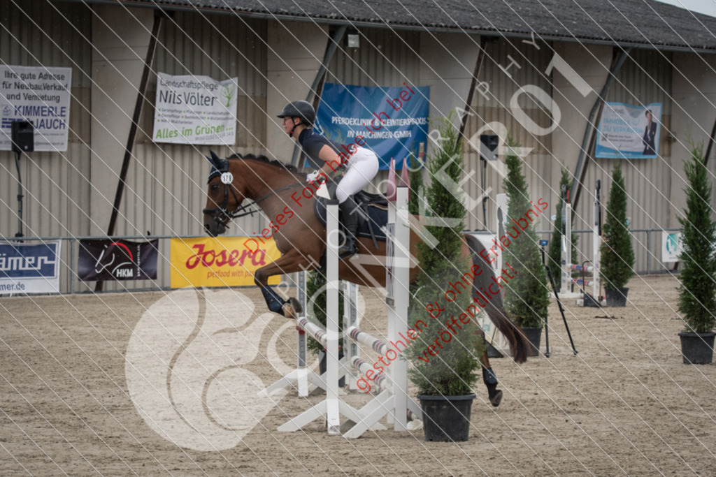 ND5_1792 | Sport-, Event- und Tierfotos in Profiqualität. Einfach auswählen, bestellen und herunterladen. Dein Moment – perfekt festgehalten.