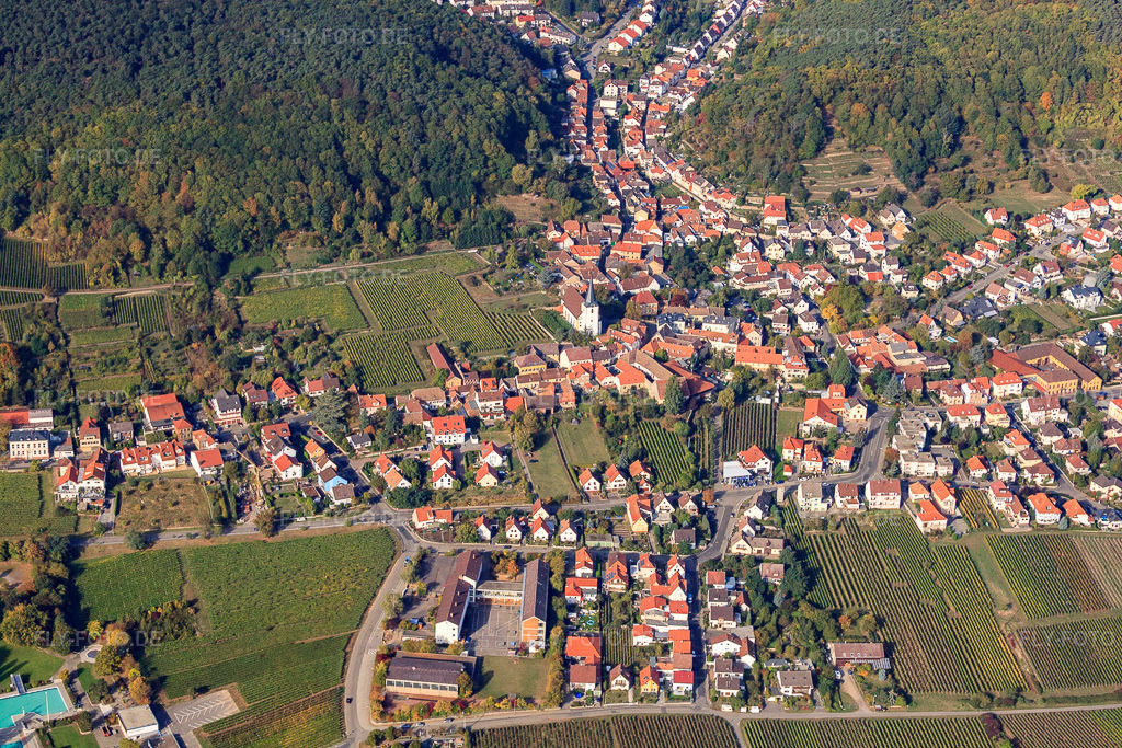 Luftbild: Ortsübersicht aus Osten im Ortsteil Hambach an der Weinstraße in Neustadt im Bundesland Rheinland-Pfalz in Deutschland. Foto: IMG_22091.jpg vom 15.10.2009 durch Werner Riehm/FLY-FOTO.de