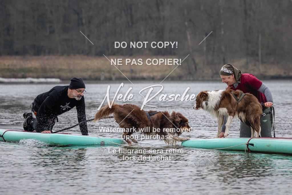 nelerasche_Hulsbeek_Sa1330-1430_342 | nelerasche