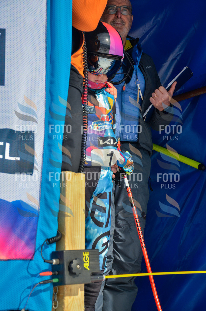 _ELE4313 | holidayphoto