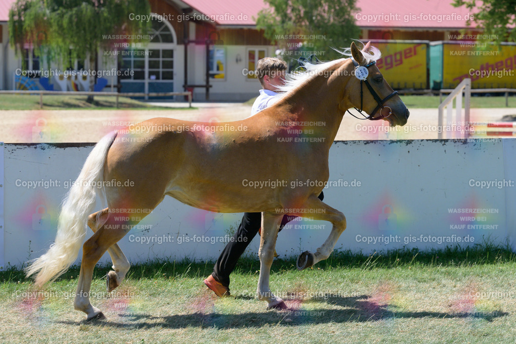 50_Umira_v.Sandrino_Vodermaier_250621_09 | gis-fotografie