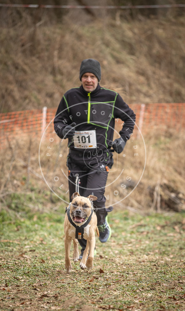 Pfotenfotografie_DV3A7439 | Hundefotografie, Tierfotograf, Pfotenfotografie, Fotoshooting Hund, Hunde Portrait, Hundesport, Hundeportraits, Heideshooting, Hunde, Sportfotograf, Hundefotograf, Turnierhundsport, THS,  - Realisiert mit Pictrs.com
