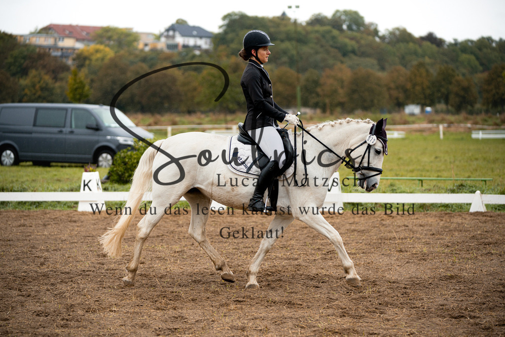 A7V05817 | Pferdefotograf