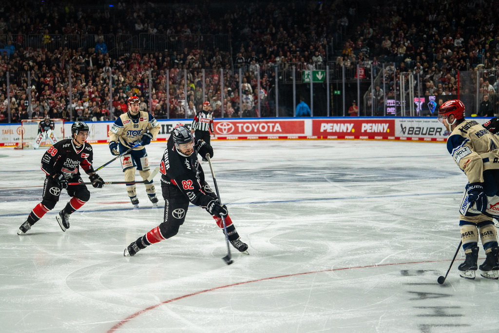 DEL, Deutsche Eishockey Liga Saison 2024/25, 8. Spieltag: Kölner Haie gegen Schwenninger Wild Wings | 11.10.2024, DEL, Deutsche Eishockey Liga Saison 2024/25, 8. Spieltag: Kölner Haie gegen Schwenninger Wild WingsBild: Alexandre Grenier (82, Köln) - Realisiert mit Pictrs.com