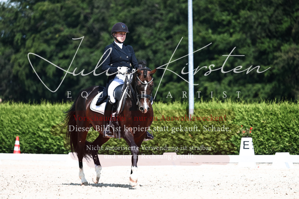 DSC_2932 | Pferde- und Turnierfotografie in Westsachsen. Pferdeportraits, Auftragszeichnungen und intuitive Kunst.