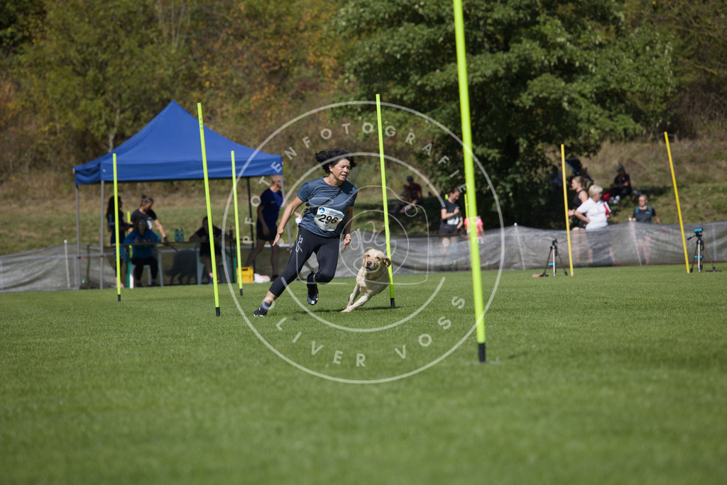 0L8A7081 | Hundefotografie, Tierfotograf, Pfotenfotografie, Fotoshooting Hund, Hunde Portrait, Hundesport, Hundeportraits, Heideshooting, Hunde, Sportfotograf, Hundefotograf, Turnierhundsport, THS,  - Realisiert mit Pictrs.com