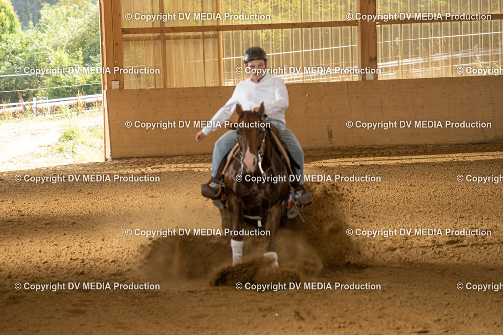 LAU01766 | dv-media-shop - Realisiert mit Pictrs.com