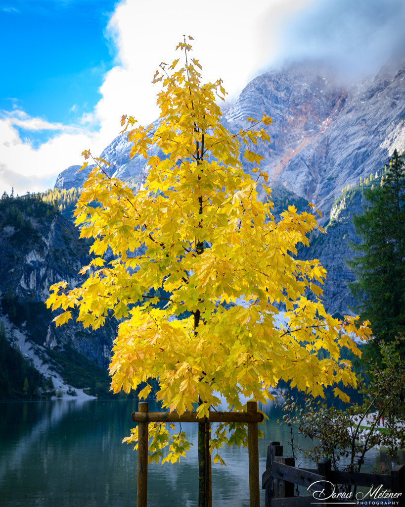 Der Pragser Waldsee | Der Pragser Waldsee im Pragser Tal
