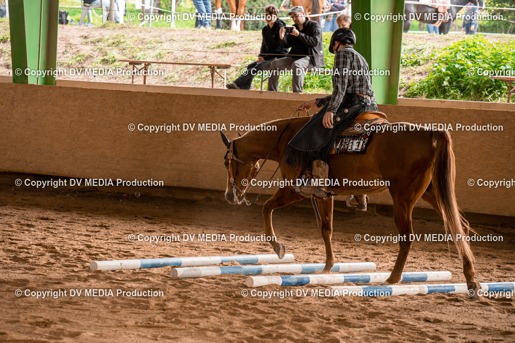 BA400850 | dv-media-shop - Realisiert mit Pictrs.com