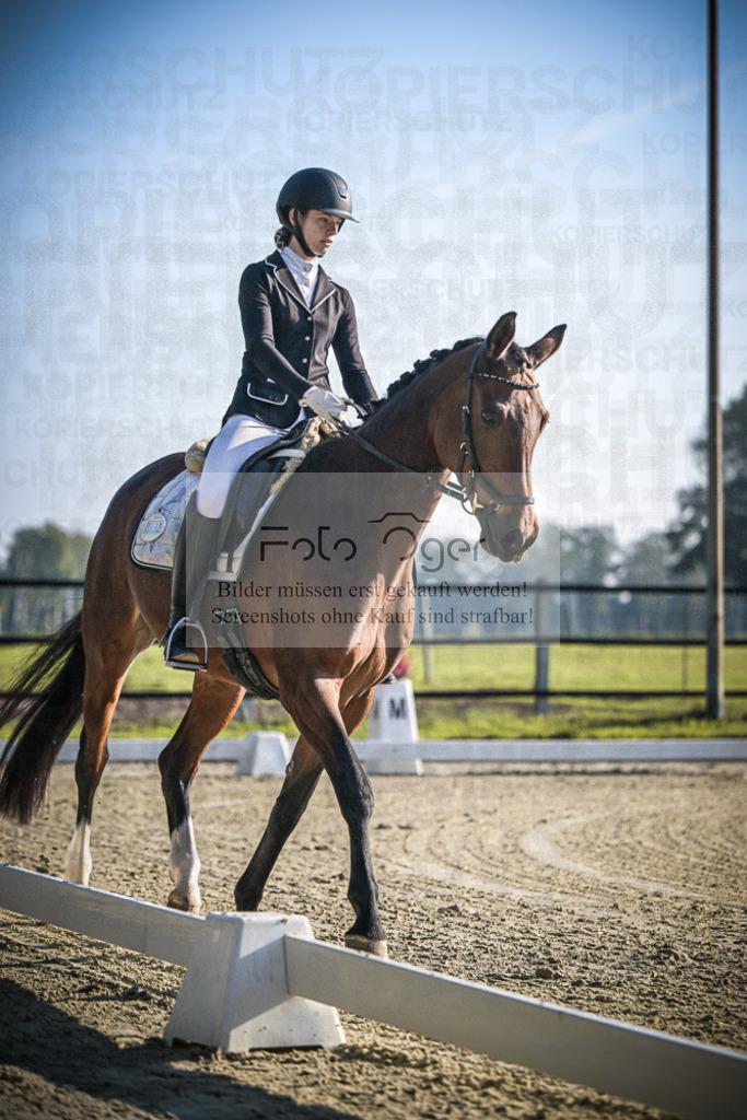 DOS_0259 | Entdecke hochwertige Reitturnierfotos von Foto Oger. Professionell, emotional und authentisch – jetzt Lieblingsmomente im Shop bestellen.Deutschlandweite Turnierfotografie. - Realisiert mit Pictrs.com