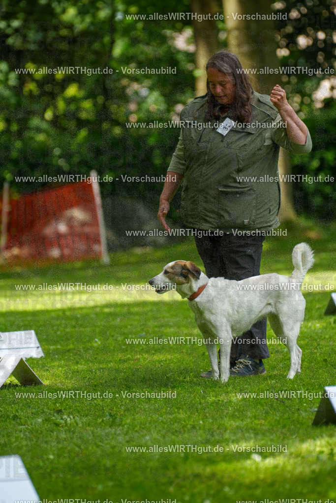 @allesWIRTHgut_Tierfotografie - www.allesWIRTHgut.de - 7R504333 | Professionelle Tierfotografie in Mönchengladbach von Daniel Wirth (allesWIRTHgut). Liebevolle & natürliche Bilder von Hunden & Katzen für unvergessliche Erinnerungen.