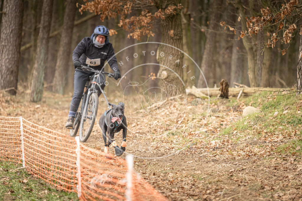 Pfotenfotografie_DV3A3245 | Hundefotografie, Tierfotograf, Pfotenfotografie, Fotoshooting Hund, Hunde Portrait, Hundesport, Hundeportraits, Heideshooting, Hunde, Sportfotograf, Hundefotograf, Turnierhundsport, THS,  - Realisiert mit Pictrs.com