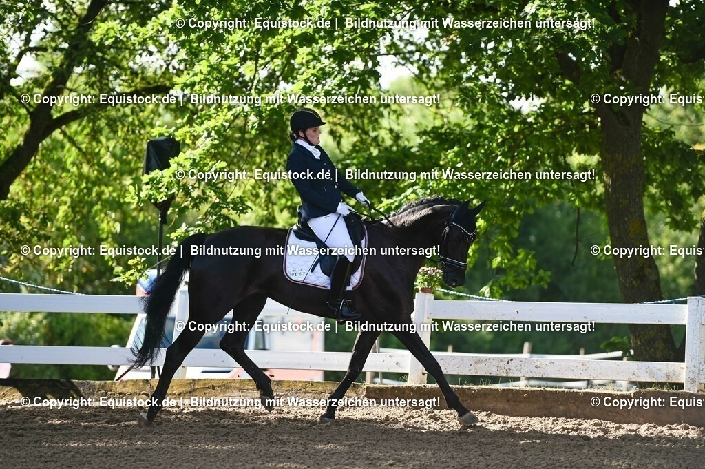 20230716_04_Dressurreiterprüfung Kl.A_0072 | equistock