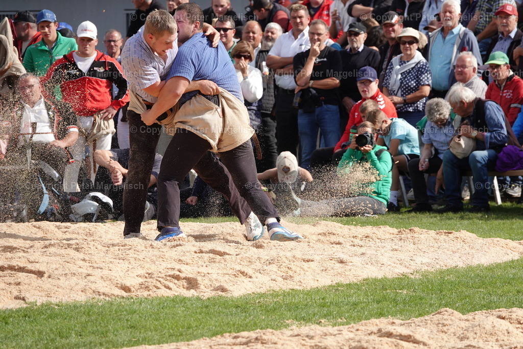 DSC02004 | Schwingen - Realisiert mit Pictrs.com