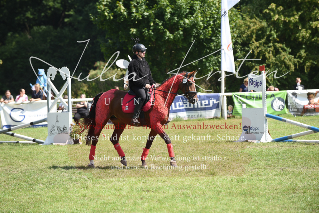 DSC_0194 | Pferde- und Turnierfotografie in Westsachsen. Pferdeportraits, Auftragszeichnungen und intuitive Kunst.