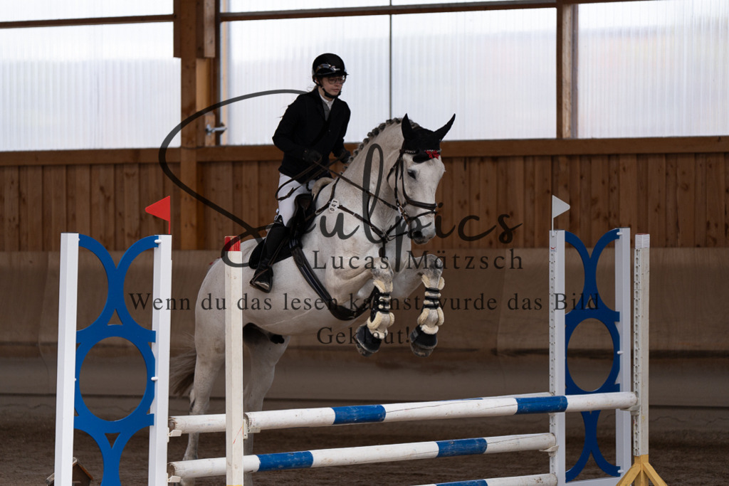 A7507452 | Pferdefotograf