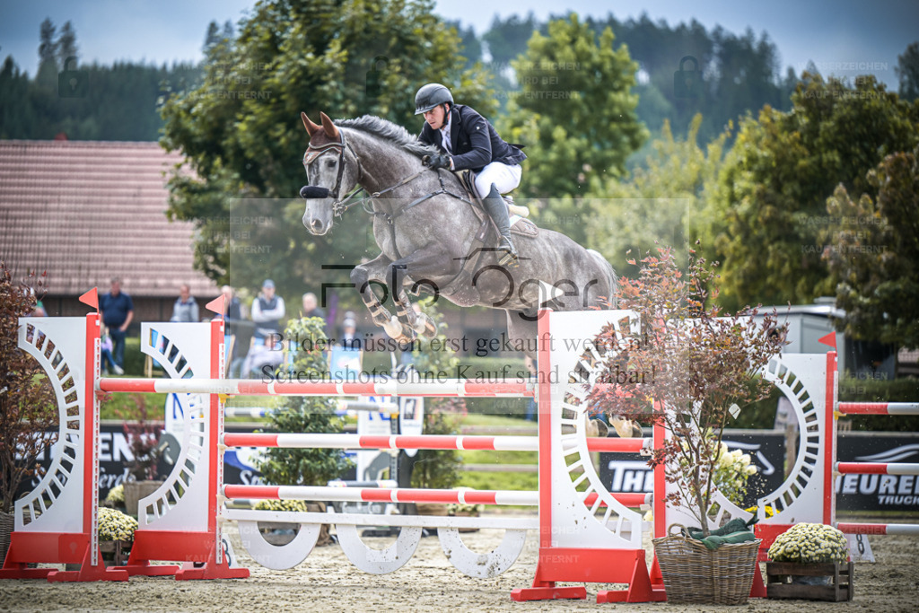 DOS_1589 | Entdecke hochwertige Reitturnierfotos von Foto Oger. Professionell, emotional und authentisch – jetzt Lieblingsmomente im Shop bestellen. - Realisiert mit Pictrs.com