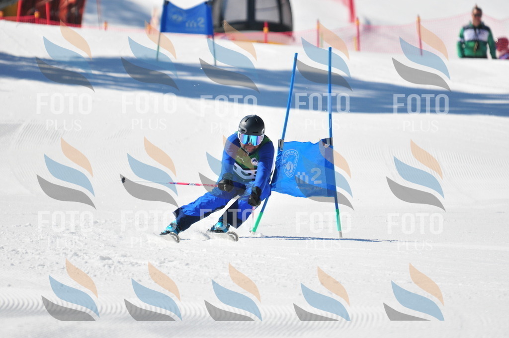 C4328 | holidayphoto