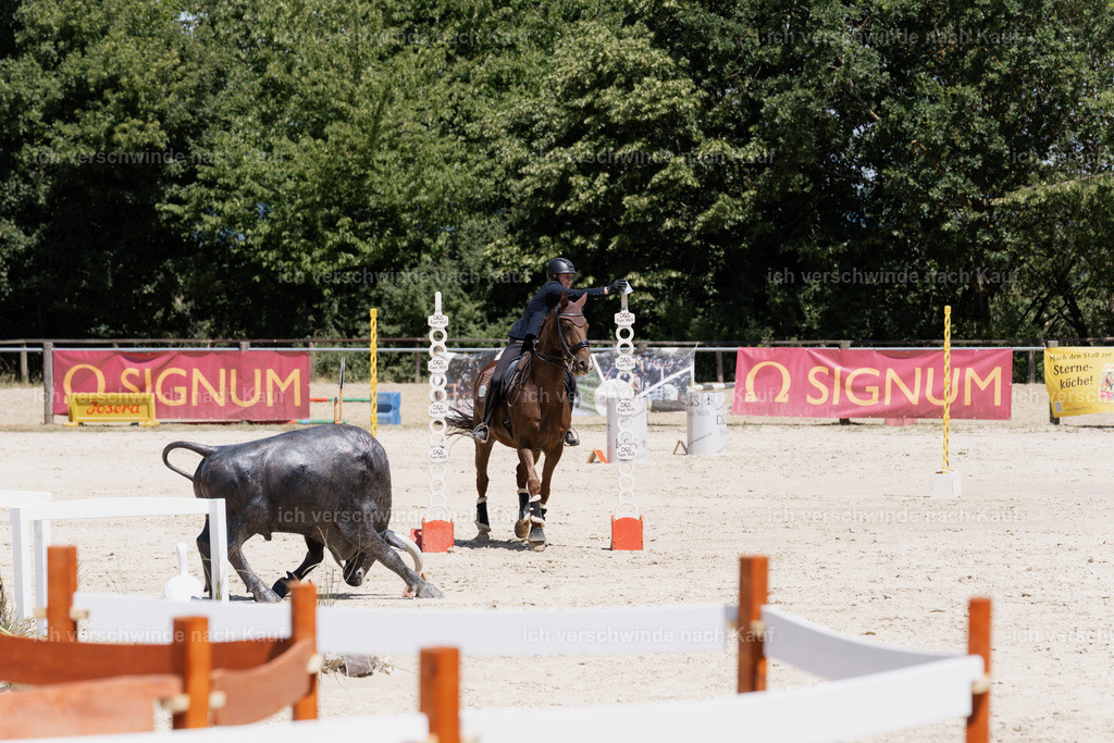 WM_SP_5_SinaFilmArt_IN07497 | working equitationturnier fotograf videograf stoibphotography marixx film working equitation deutschland reitsport turnierfotografie eventfotografie equestrian events
