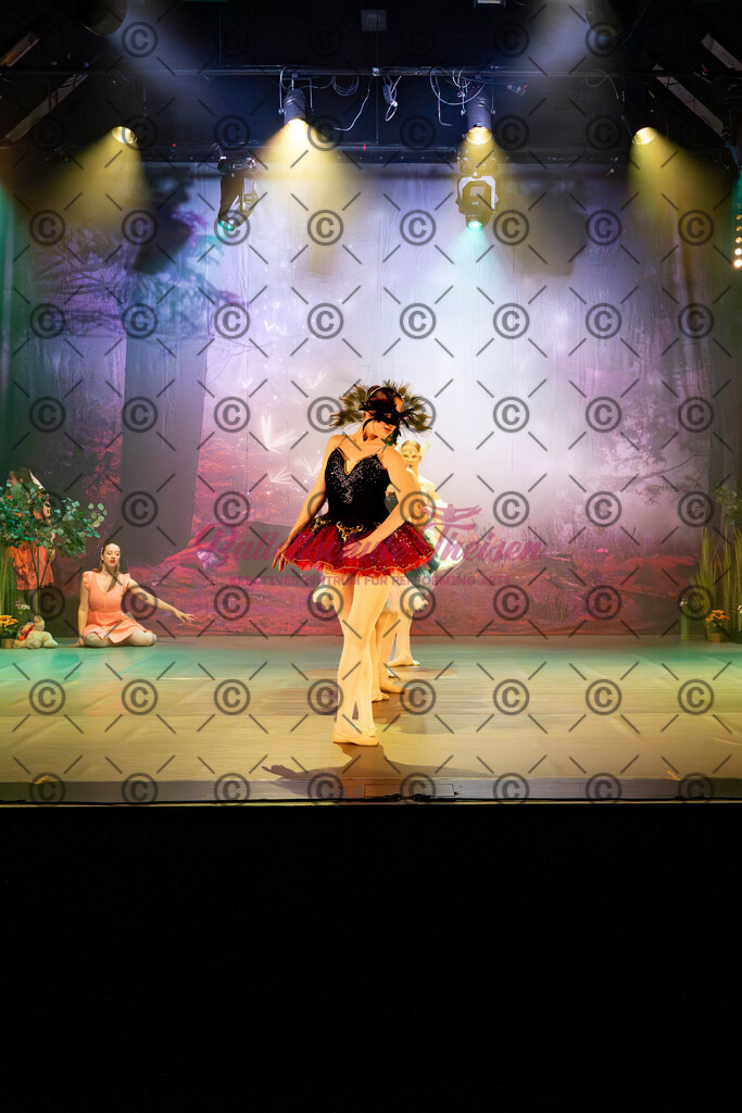 Ballettaufführung-23 | Bildershop Lem'n Entertainment - Realisiert mit Pictrs.com