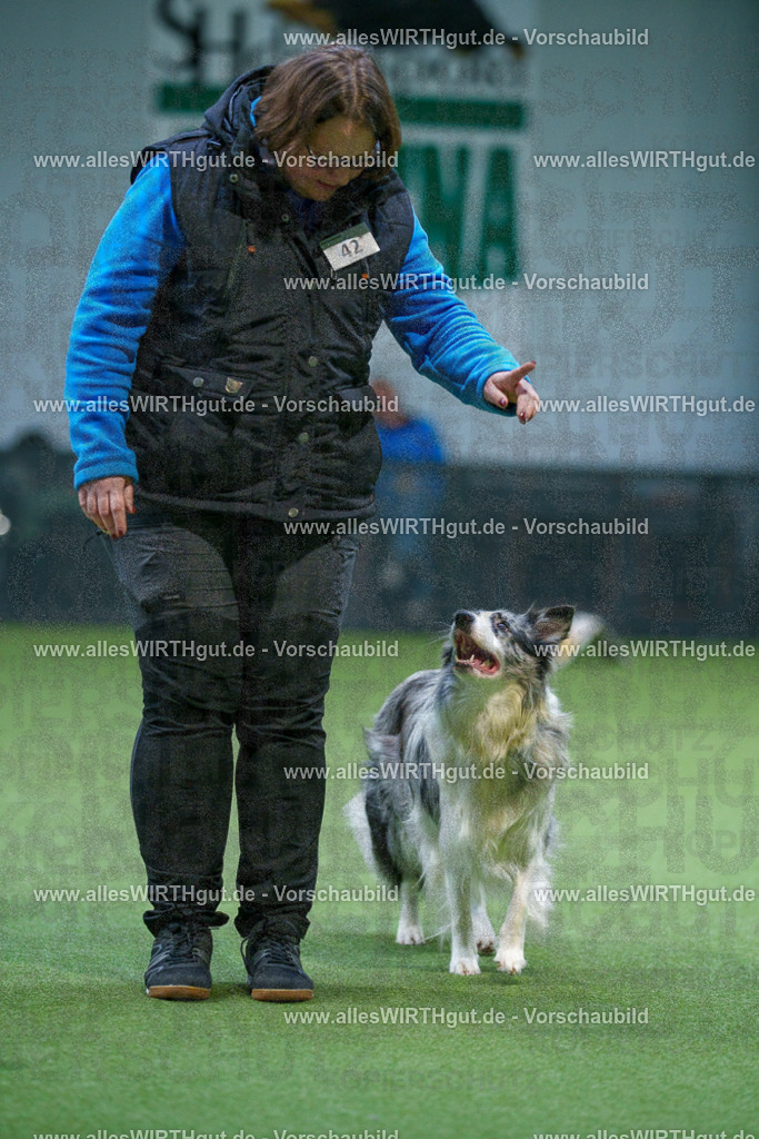 7R506292 | Professionelle Tierfotografie in Mönchengladbach von Daniel Wirth (allesWIRTHgut). Liebevolle & natürliche Bilder von Hunden & Katzen für unvergessliche Erinnerungen.