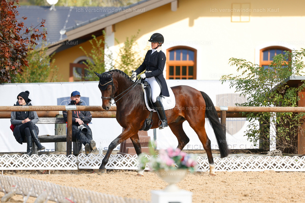 09_2-174-DRESSUR  S_  -StoibPH-5771 | working equitationturnier fotograf videograf stoibphotography marixx film working equitation deutschland reitsport turnierfotografie eventfotografie equestrian events