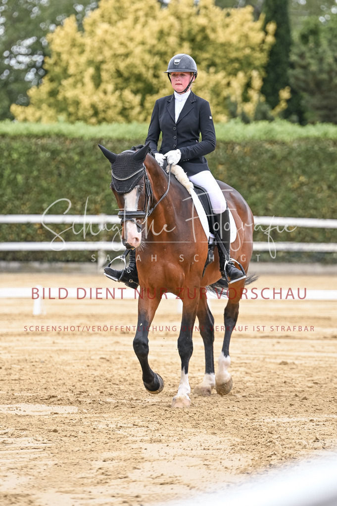 Schugtsche-Aluta25-42.EDressur -173 | Schugtsche Fotografie - Realisiert mit Pictrs.com