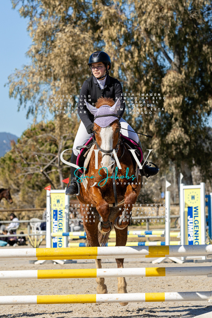 IMG_9347 | s-jay-photography - Realisiert mit Pictrs.com