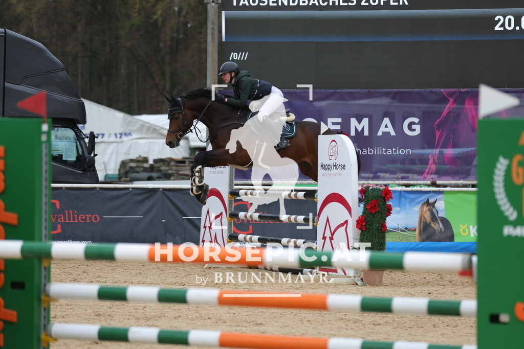 0P6A6659 | Willkommen bei Brunnmayr - Design & Fotografie – Ihrem Spezialisten für Reitturniere und Pferdeveranstaltungen in Oberösterreich, Salzburg und Bayern! Seit über 17 Jahren sind wir leidenschaftlich dabei.