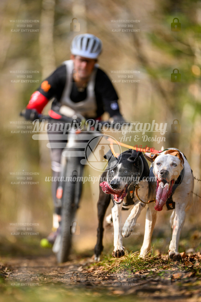 MompixPhotography_6ReiatRennen2026_SO_Scooter-10 | PayLife
