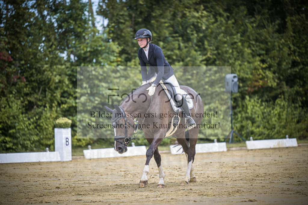 DOS_1915 | Entdecke hochwertige Reitturnierfotos von Foto Oger. Professionell, emotional und authentisch – jetzt Lieblingsmomente im Shop bestellen.Deutschlandweite Turnierfotografie. - Realisiert mit Pictrs.com