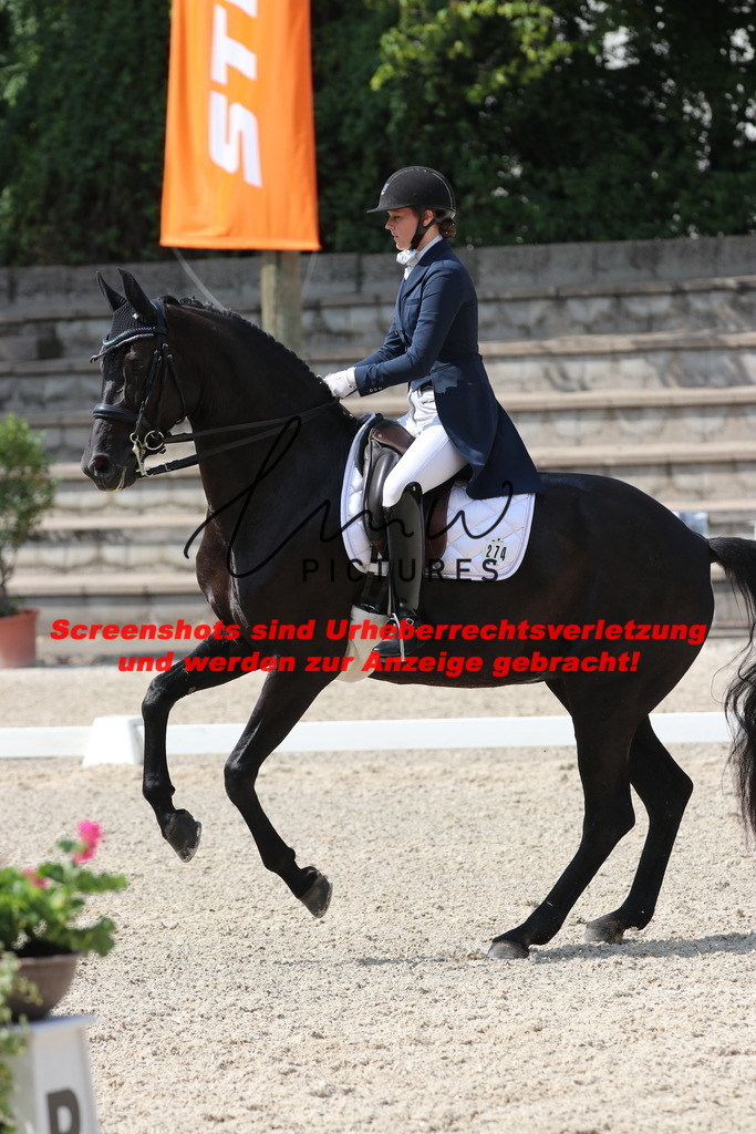 IMG_7056 | lmwpictures - Realisiert mit Pictrs.com