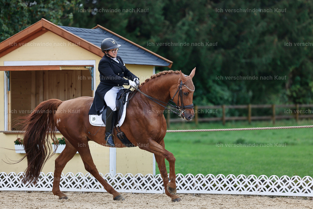07-023-DRESSUR  S___  -StoibPH-5049 | working equitationturnier fotograf videograf stoibphotography marixx film working equitation deutschland reitsport turnierfotografie eventfotografie equestrian events