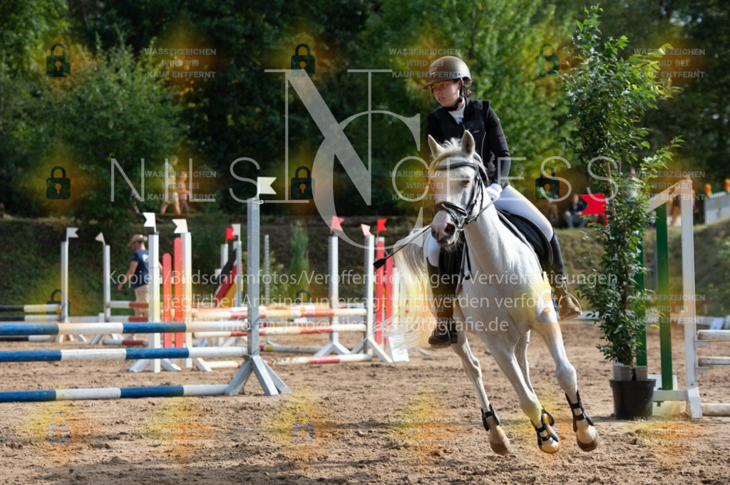 DSC_2738 | Nils Cress - Fotografie - Realisiert mit Pictrs.com