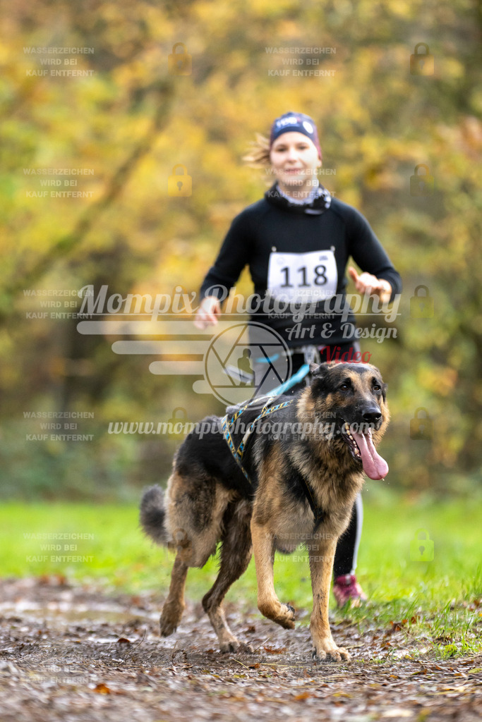 MompixPhotography_Bischwiller23_Canicross-96 | PayLife