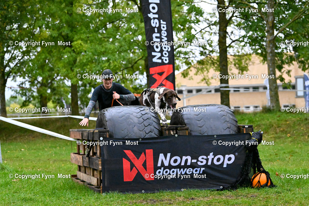 DSC_0813 | Hallo und herzlich Willkommen auf meiner Shop-Seite Fynn Most.

Ich wünsche Dir viel Spaß beim stöbern durch die Bilder, wenn Du Fragen hast oder Bilder vermisst, kannst du mir gerne eine Nachricht schreiben. - Realisiert mit Pictrs.com