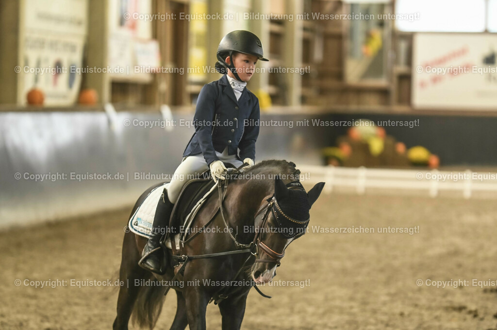 20231029_02_Reiter-WB_Schritt-Trab-Galopp_Abteilung-03_0014 | Foto: Thomas Hartig