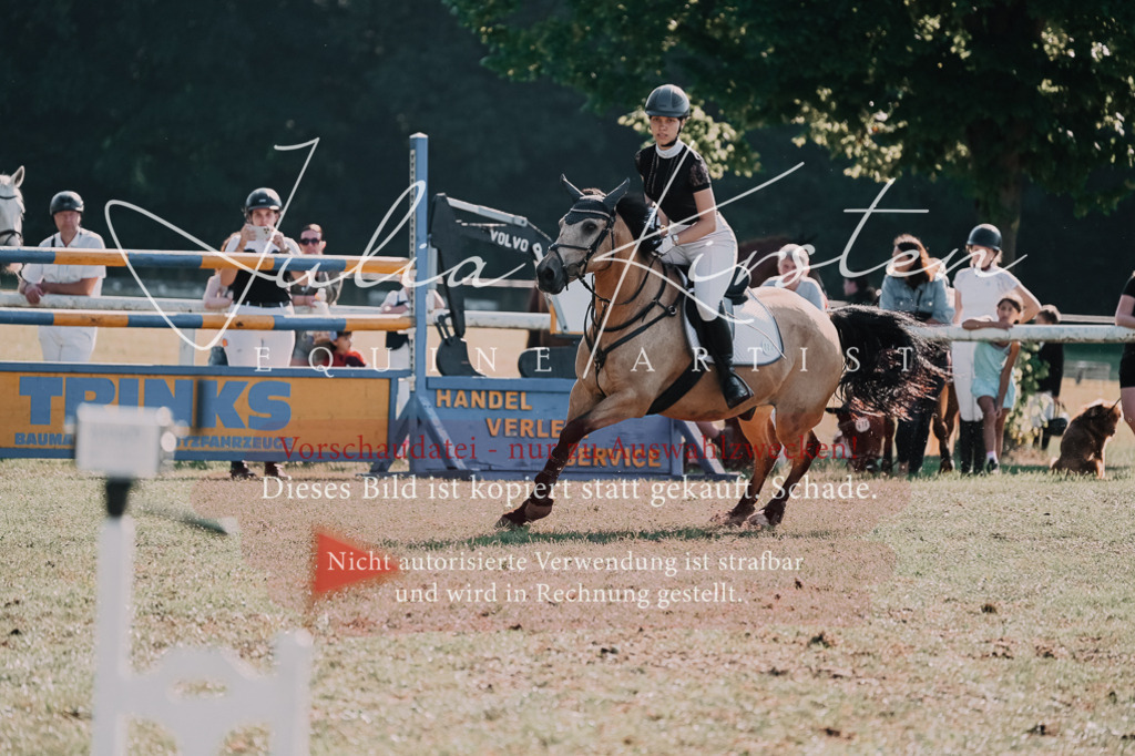 DSC_4844 | Pferde- und Turnierfotografie in Westsachsen. Pferdeportraits, Auftragszeichnungen und intuitive Kunst.