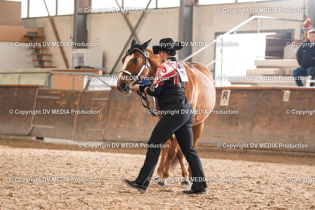 Heiligenwald Tag 2-351 | dv-media-shop - Realisiert mit Pictrs.com