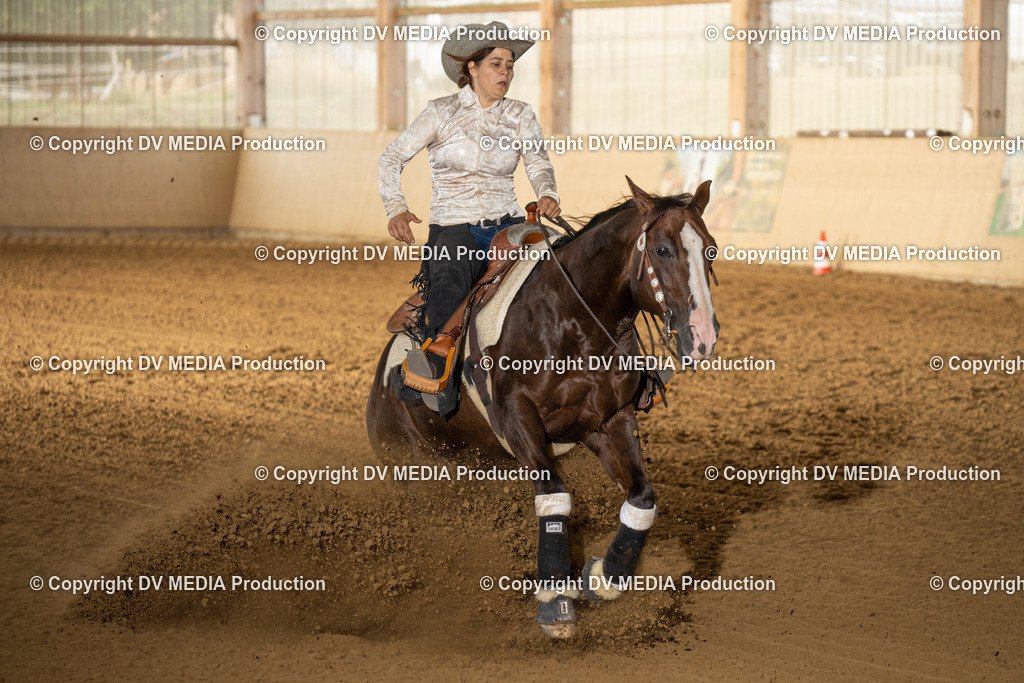 LAU01553 | dv-media-shop - Realisiert mit Pictrs.com