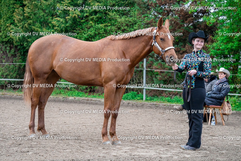 BA300079 | dv-media-shop - Realisiert mit Pictrs.com