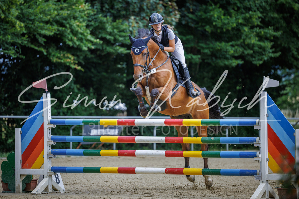 20260705-_3LI6548 | Tierfotografie Pferde, Hunde, Katzen, Haustiere.
Turnierfotografie Reitturniere, Reiten, Springreiten, Dressur in Hanau, dem Main-Kinzig-Kreis und dem Rhein-Main- Gebiet um Frankfurt
