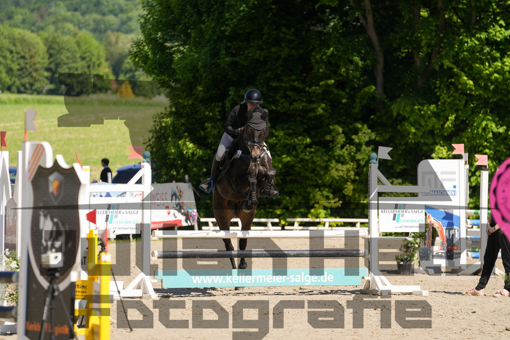 DSC02162 | Julian Held Fotografie - Realisiert mit Pictrs.com