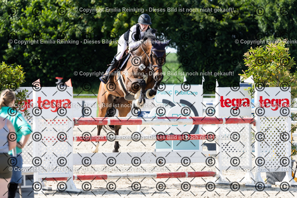 CL5A1151 | Emilia Reinking Fotografie - Realisiert mit Pictrs.com