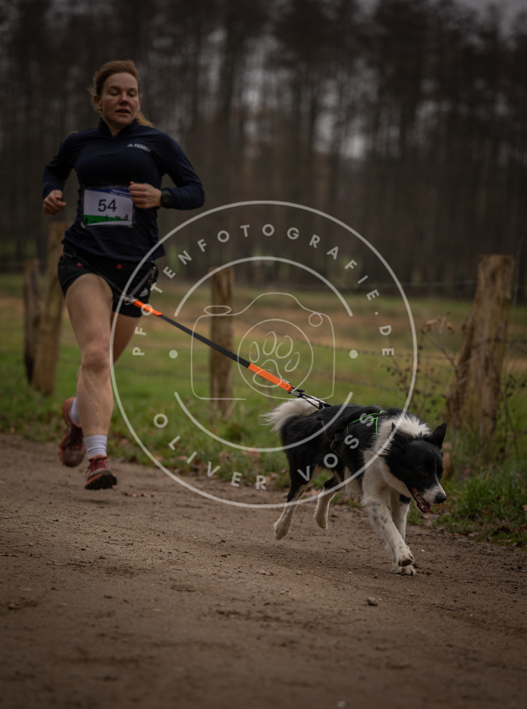 Pfotenfotografie_DV3A3006 | Hundefotografie, Tierfotograf, Pfotenfotografie, Fotoshooting Hund, Hunde Portrait, Hundesport, Hundeportraits, Heideshooting, Hunde, Sportfotograf, Hundefotograf, Turnierhundsport, THS,  - Realisiert mit Pictrs.com