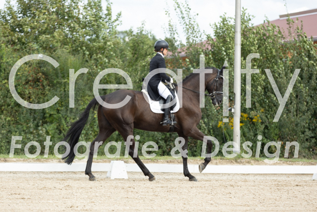 IMG_6811 | Creatify Fotografie