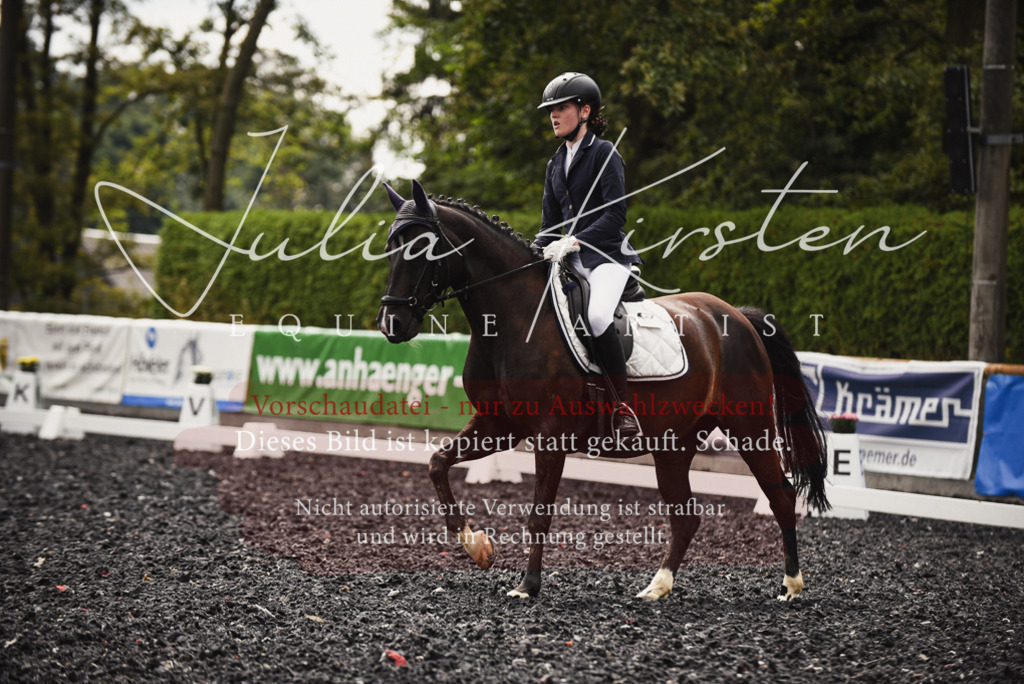 DSC_3938 | Pferde- und Turnierfotografie in Westsachsen. Pferdeportraits, Auftragszeichnungen und intuitive Kunst.