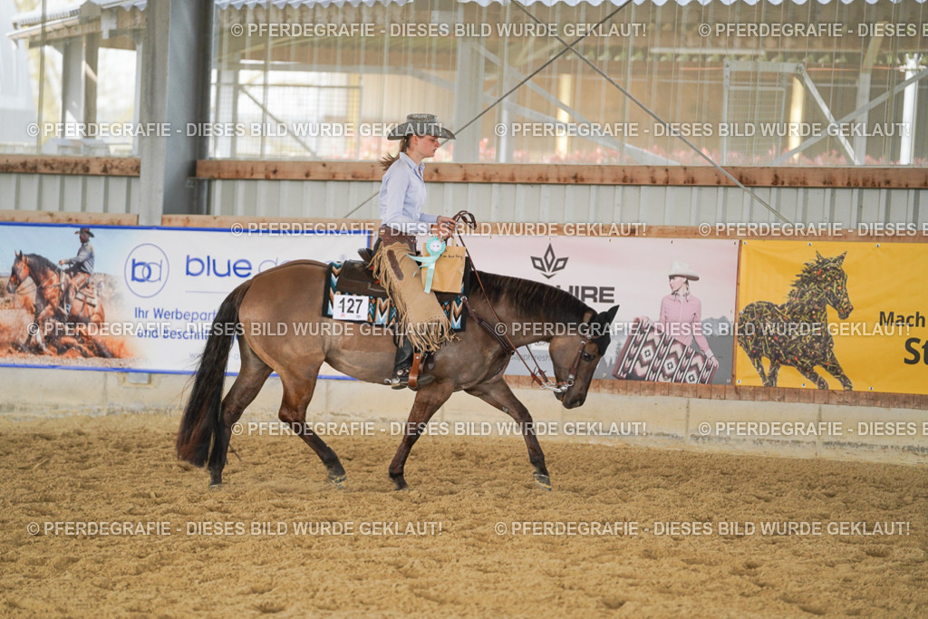 DSC02304 | Pferdegrafie