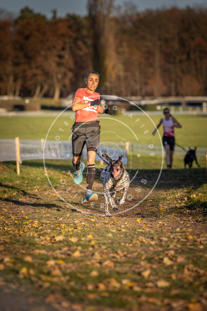 CaniXpix_DV3A4420 | Hundefotografie, Tierfotograf, Pfotenfotografie, Fotoshooting Hund, Hunde Portrait, Hundesport, Hundeportraits, Heideshooting, Hunde, Sportfotograf, Hundefotograf, Turnierhundsport, THS,  - Realisiert mit Pictrs.com