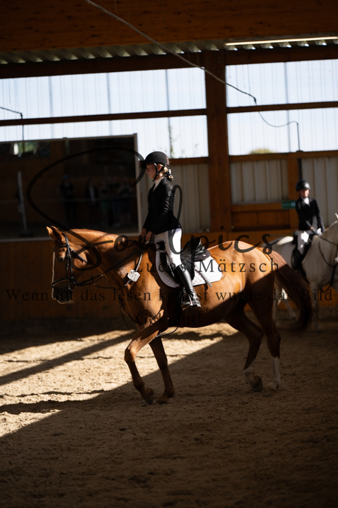 A7V02061 | Turnier/Reitfotograf